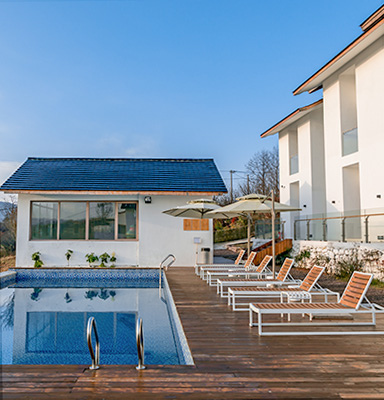 97������ʺ���Ʒ�Ʊ�������