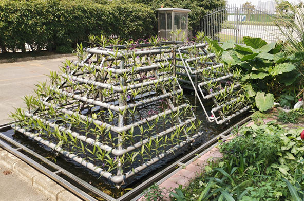 �˹�ʪ��+����ݪֲ