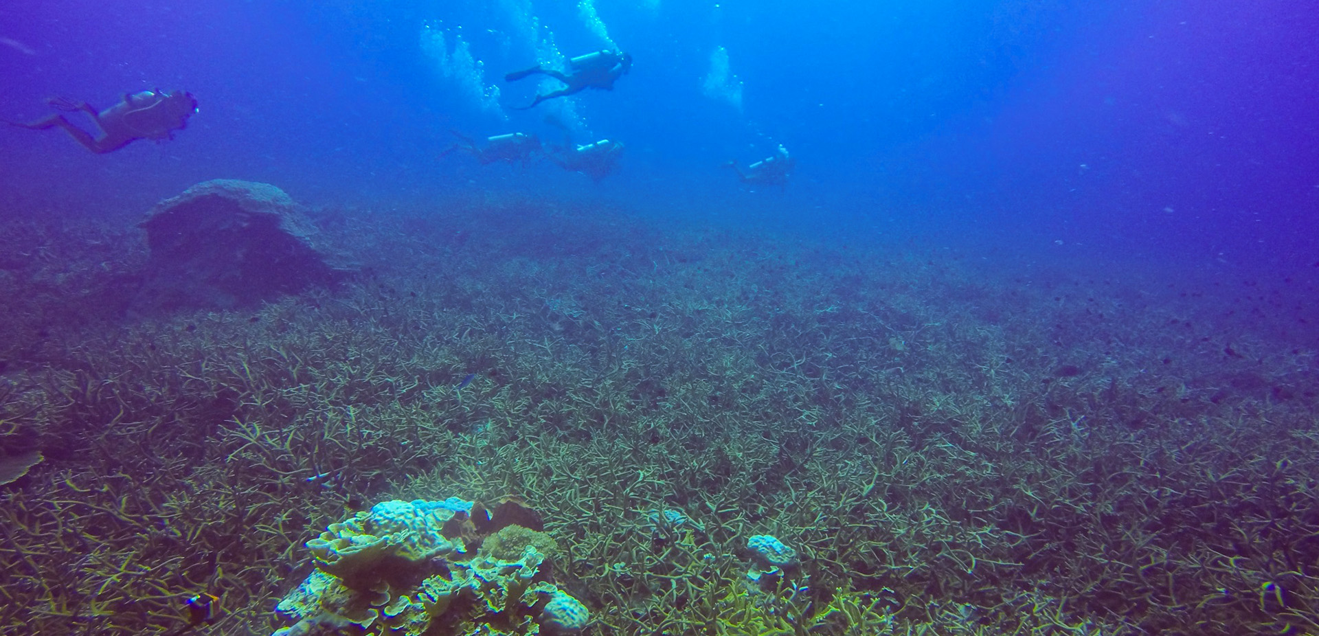 ˮ���óͷ�����