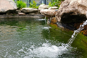 97�������԰��