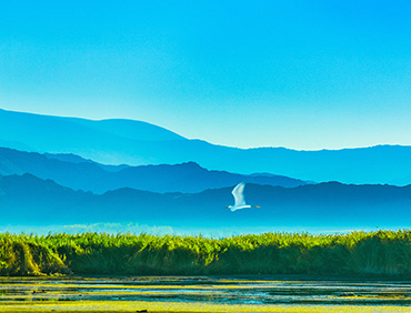 ��̬���������ŷŽ�������