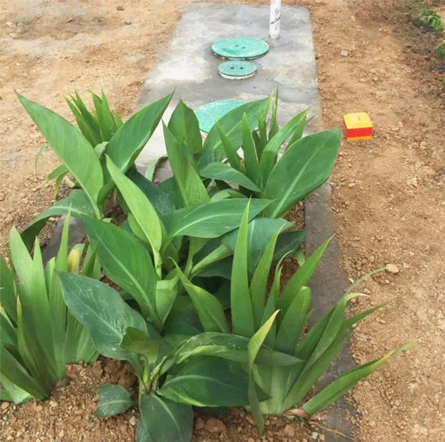 97����-����Ʒ��,Դ������