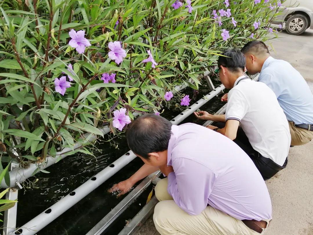 97�������Ӿ�ع���,97��������ù�Ӿ�ع���