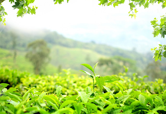 ����Ȼ���������˹�