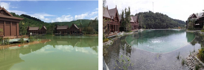 97����-����Ʒ��,Դ������