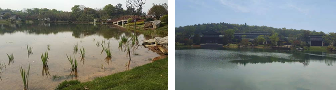 97����-����Ʒ��,Դ������