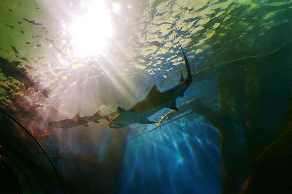 ����԰ˮ�ʴ��óͷ�,�����ˮ���óͷ�װ��