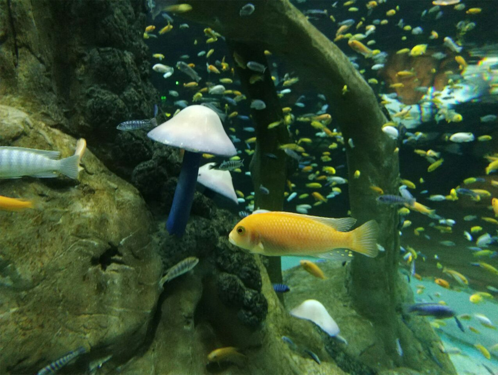 ���캺������԰