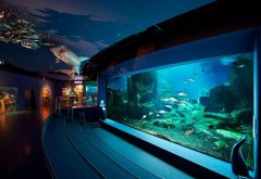 �����װ�ú��³�ʪ�������棬������������ʪ����Ҫ�߱���Щ��Ч��������������