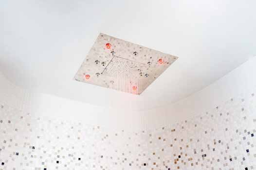 ����ʽ��ԡ��Ʒ��Ч���ģʽ