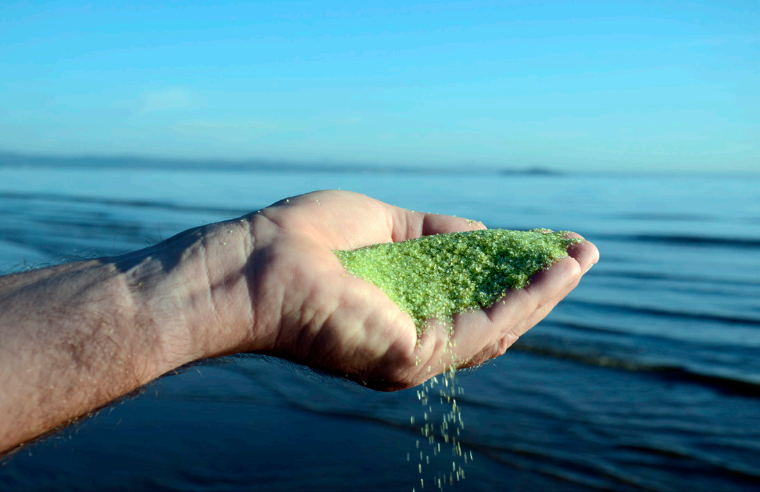 ��ȡ��ʯӢɰ��AFM����������ʲô���