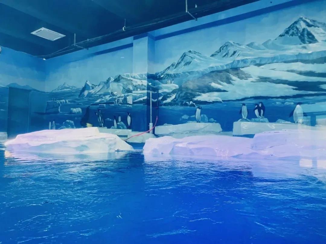 ��̬ˮ��������