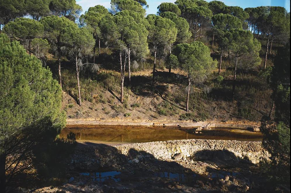 �޸�����ˮ��̬ϵͳ