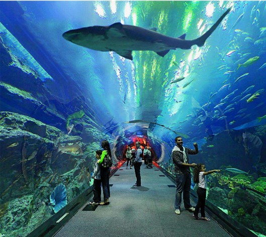 <b>�����ˮ��������������������ˮ���óͷ�ϵͳ��Ҫ����</b>