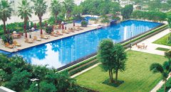 <b>��Ӿ��ˮ���óͷ���Ҫע�ص���������Щ��������������</b>