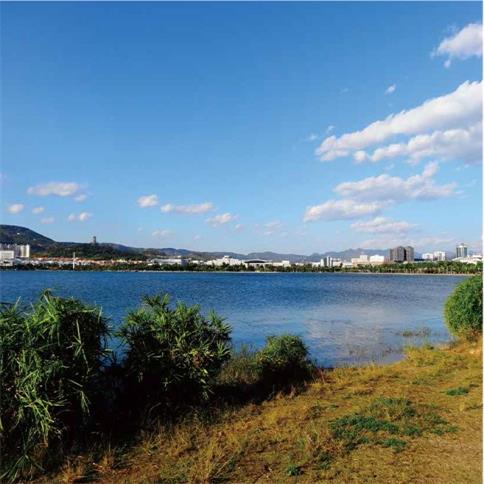 ��ɽ�ōo�˹�������