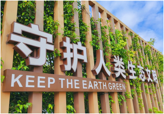 97����-����Ʒ��,Դ������