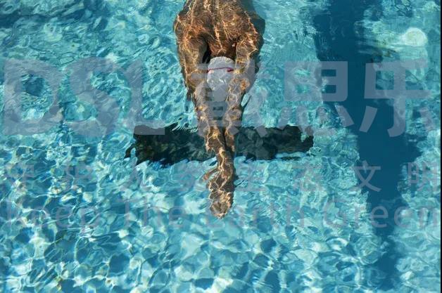 97����-����Ʒ��,Դ������