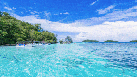 Ӿ��װ��,��Ӿ��װ��,Ӿ�ع���,97�������Ӿ��