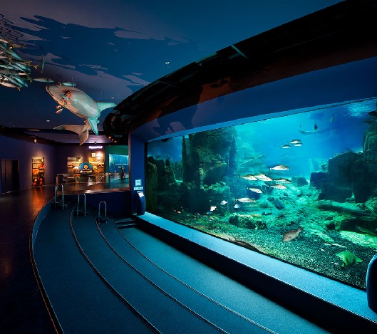 ��������������������������Ҫ�������������������ƹ�˾