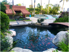 ��ˮ���óͷ�����ˮ���óͷ���ʲô��������������������