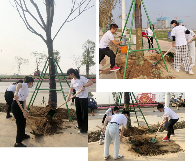 97����-����Ʒ��,Դ������