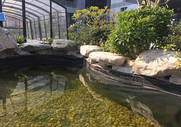 97����-����Ʒ��,Դ������