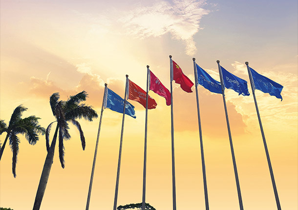 97����-����Ʒ��,Դ������