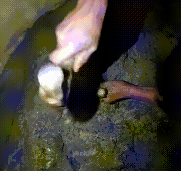 97����-����Ʒ��,Դ������