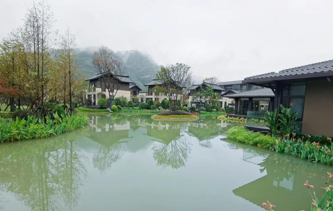 97����-����Ʒ��,Դ������