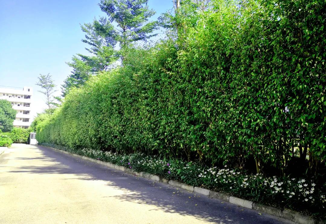 97����-����Ʒ��,Դ������