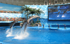 ��������ˮ��ô��������������������