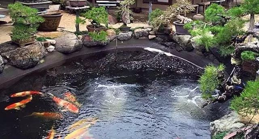 �����ˮ����ϵͳ,������ع���ϵͳ