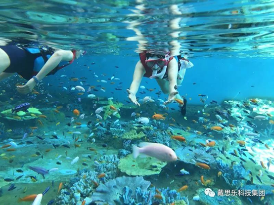 ����Ǳ�����������������������װ��