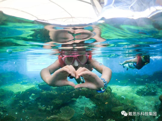 ����Ǳ�����������������������װ��