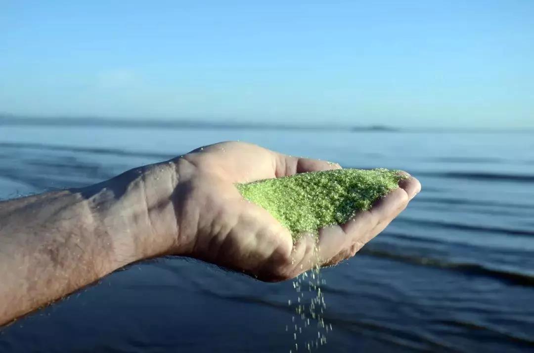 AFM?���Ϻ�ͨ�ײ���������ʲô������������������