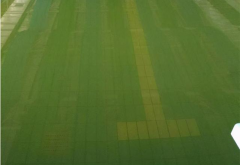 �㶫�������꣡�����Ӿ��ˮ�巢����ô��������������������