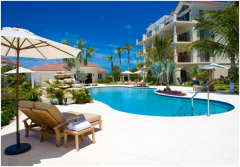 ��Ӿ��������ֱ��Ͷ��ҩ����������������