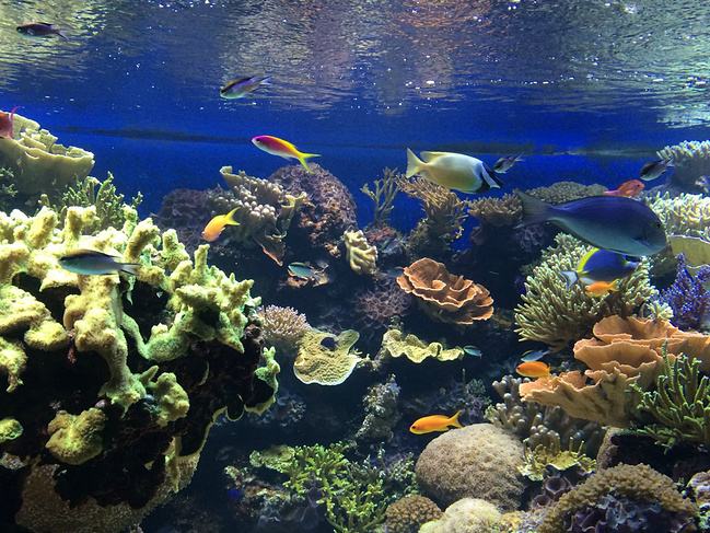 �������ƺ���ݵ��������⣿��������������