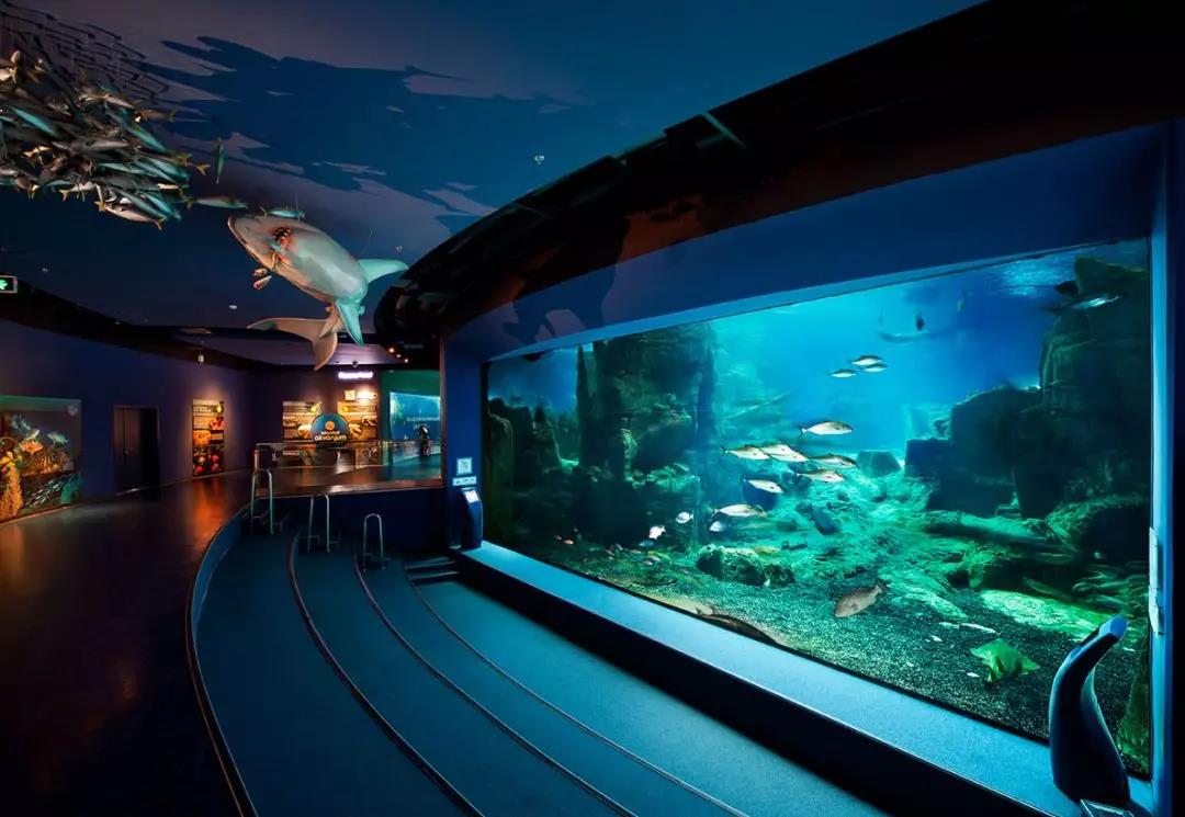 �����,���������,����ݳ�ʪ͸��