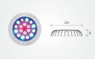 97����-����Ʒ��,Դ������