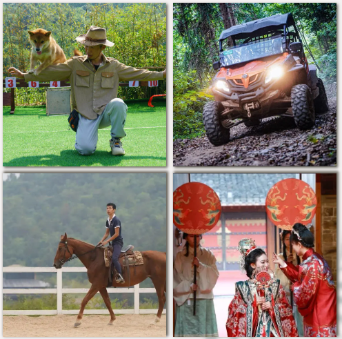 97����-����Ʒ��,Դ������