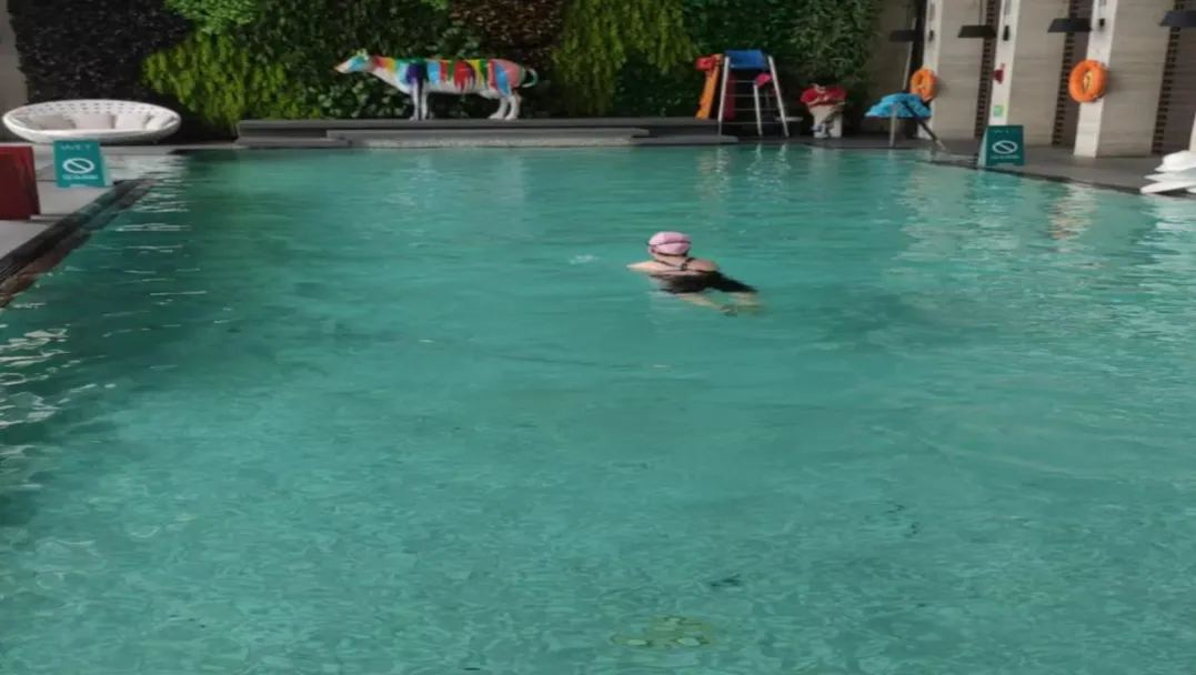 97����-����Ʒ��,Դ������