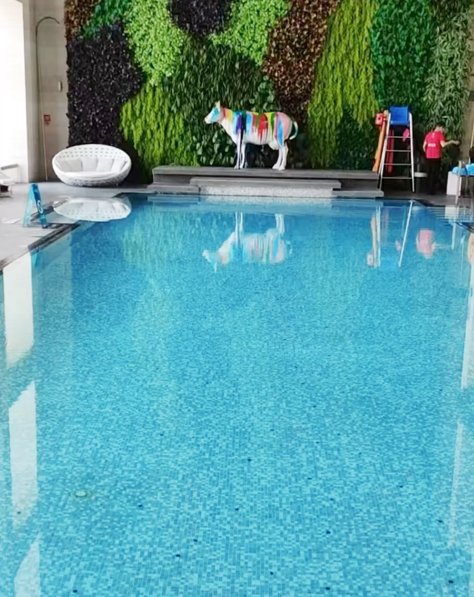 97����-����Ʒ��,Դ������