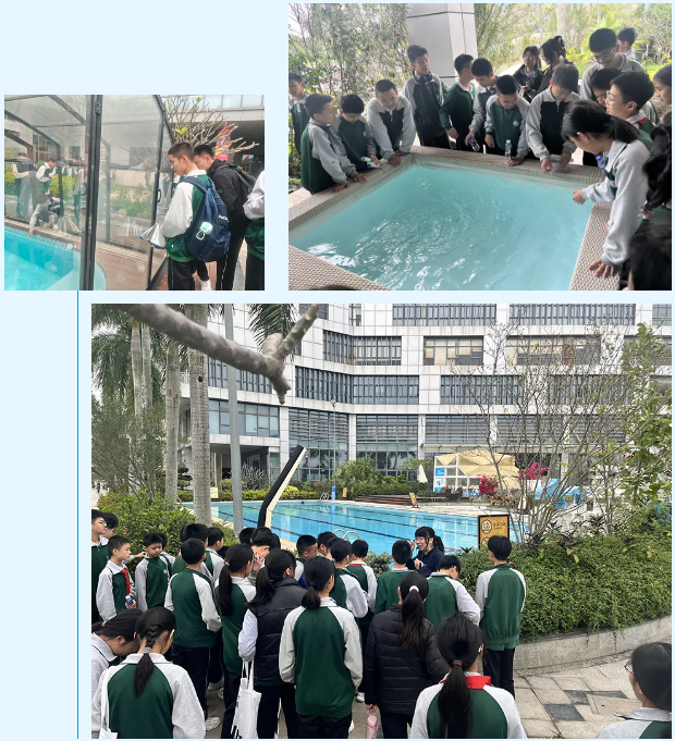 97����-����Ʒ��,Դ������