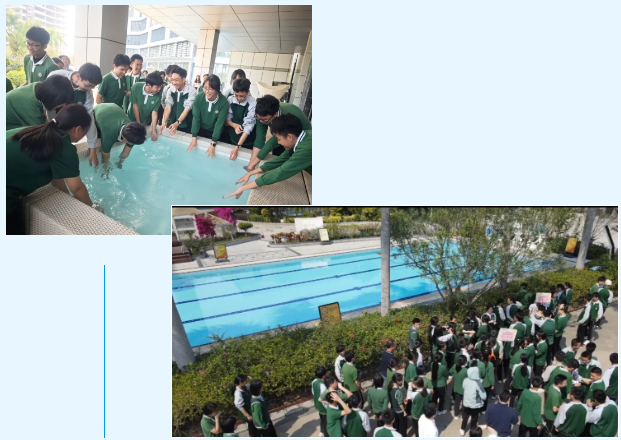 97����-����Ʒ��,Դ������