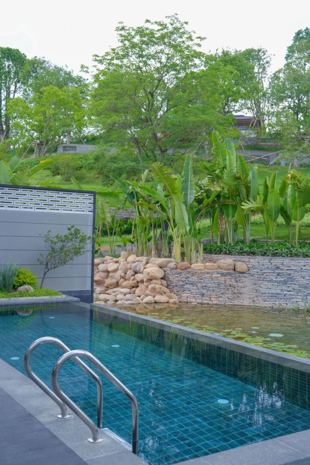 97����-����Ʒ��,Դ������