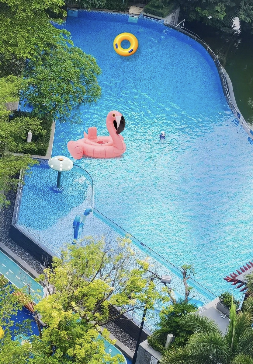 97����-����Ʒ��,Դ������