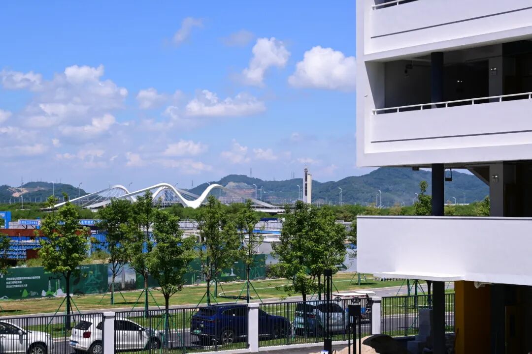 97����-����Ʒ��,Դ������