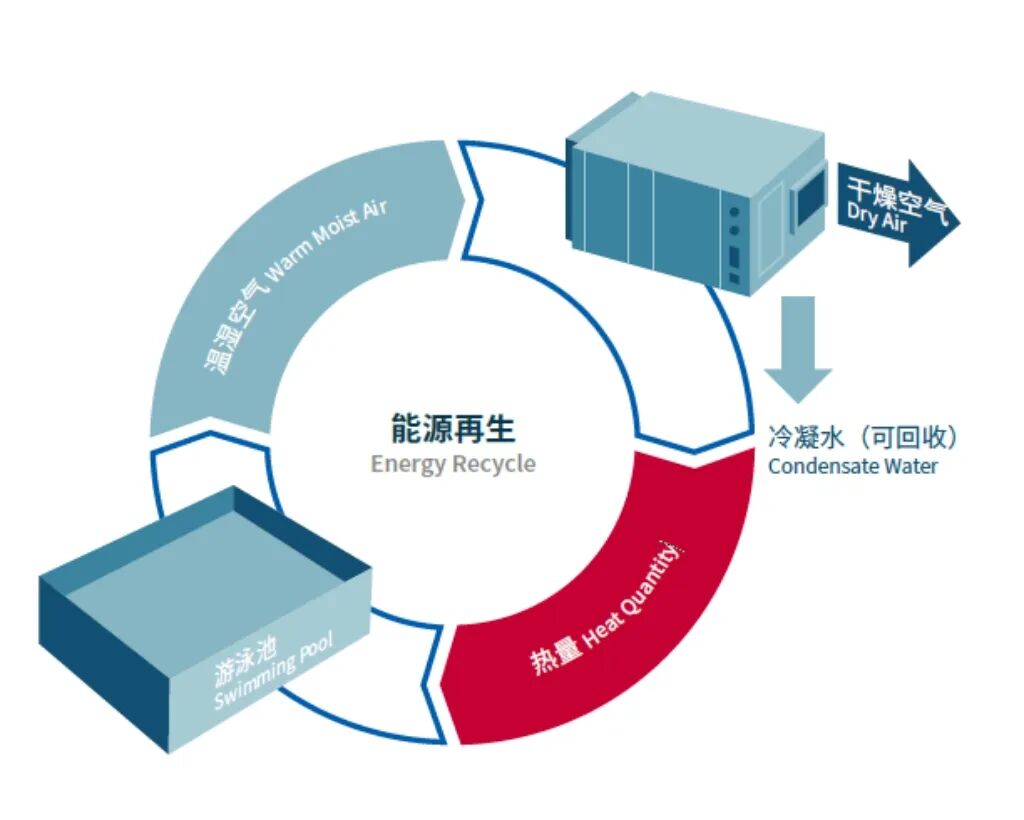 97����-����Ʒ��,Դ������